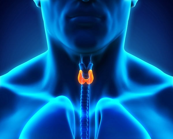 Supplements, Cancer Therapies, Endocrine-Disrupting Chemicals Can Alter Thyroid Function 