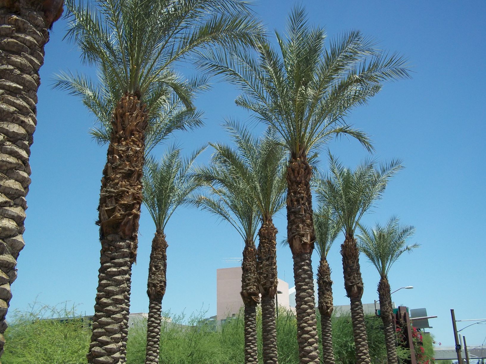 Graves’ Disease & Thyroid Eye Disease – FREE Tempe, AZ Patient Seminar Graves’ Disease & Thyroid Eye Disease – FREE Tempe, AZ Patient Seminar